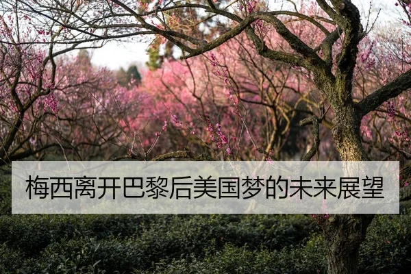 梅西离开巴黎后美国梦的未来展望