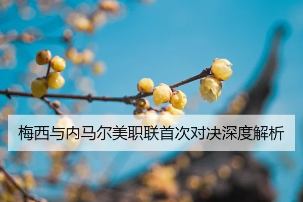mei-xi-yu-nei-ma-er-mei-zhi-lian-shou-ci-dui-jue-shen-du-jie-xi-2-746.jpg